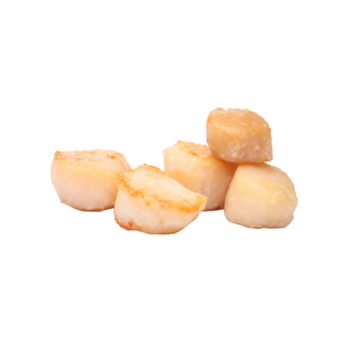Scallops - Fresh and Sweet