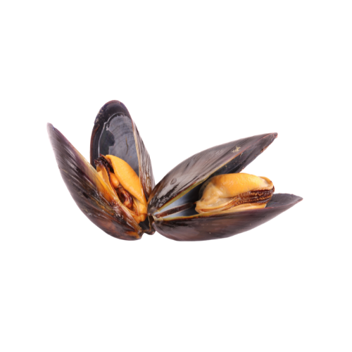 Mussels - Fresh from the Sea