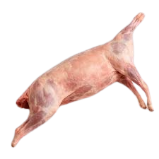Whole Lamb Carcass